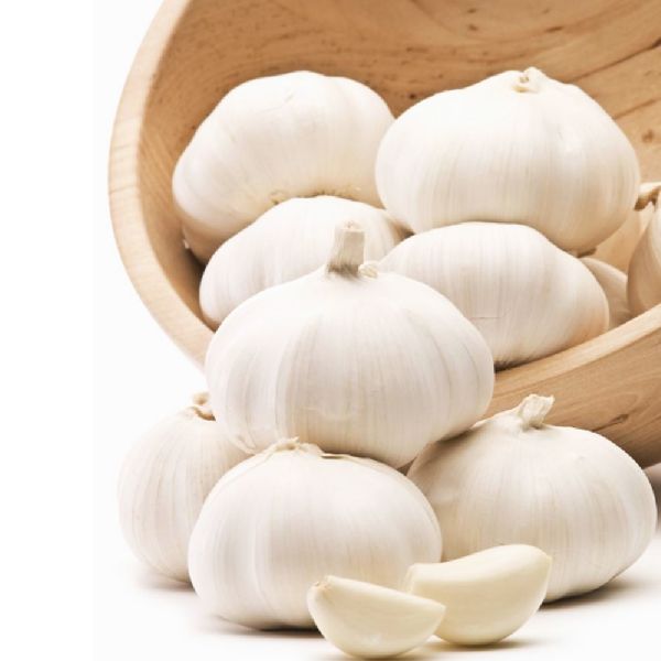 High quality fresh garlic supplier by A N S Export and Import Global  Trading Company | ID - 5459671