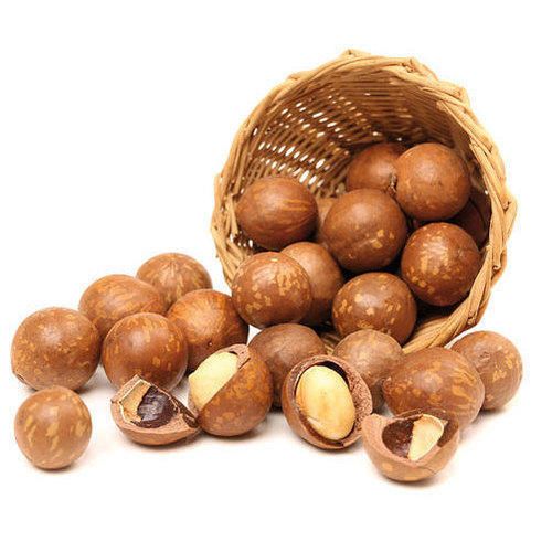 macadamia nut