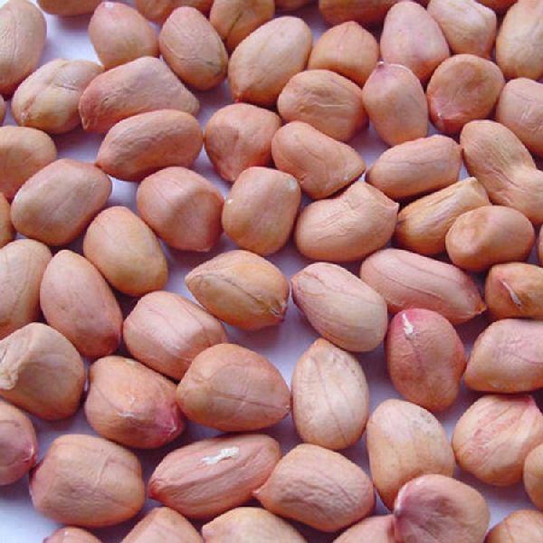 Quality Peanuts For Sale At Competitive Prices