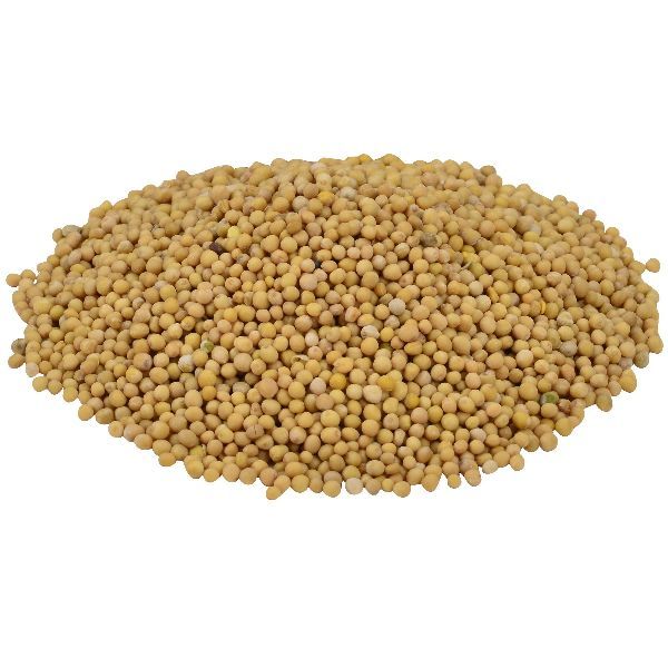 Yellow Mustard Seeds