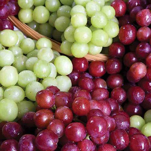 Fresh Seedless Grapes