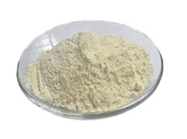 Sesbania Gum Powder
