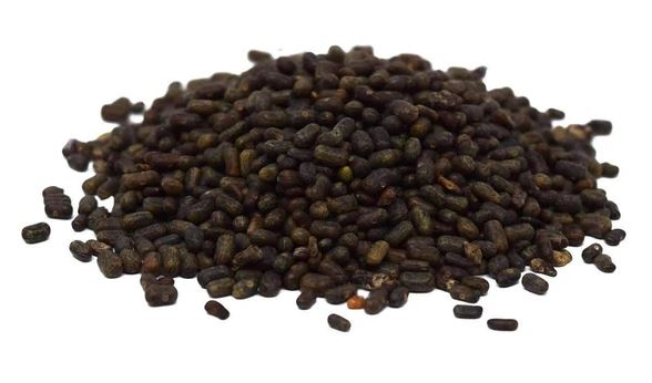 Common Sesbania Seeds, Style : Dried, Natural, Raw