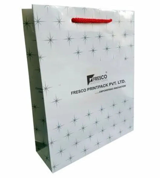 Stylish Paper Gift Bags, for Promotional Use, Feature : Easy To Carry, Good Quality, High Strength