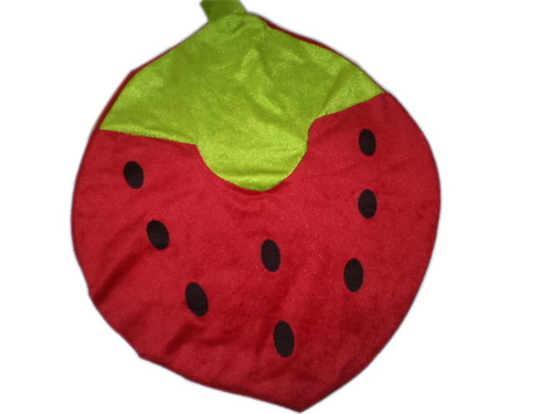 Brand Strawberry Pillow