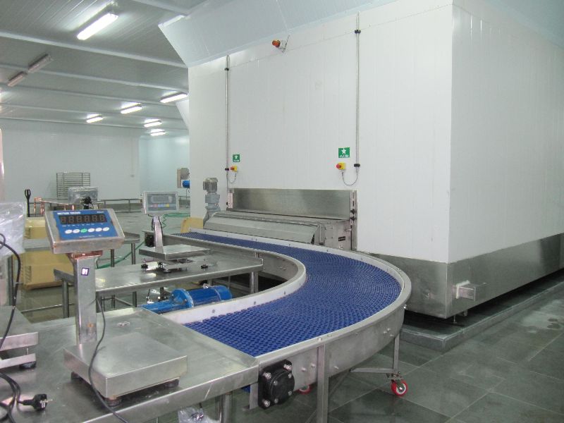 SS Radius Conveyor, for Food Processing Industries, Ware Houses.