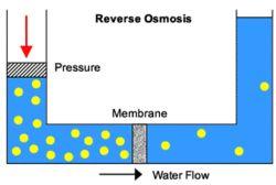 Chlorine Dioxide  In Microbial Control In Reverse Osmosis