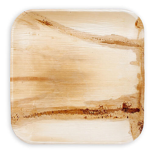 Areca Leaf Square Plates, for Serving Food, Feature : Disposable, Light Weight
