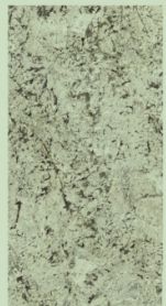 Alaska White Marble Tiles