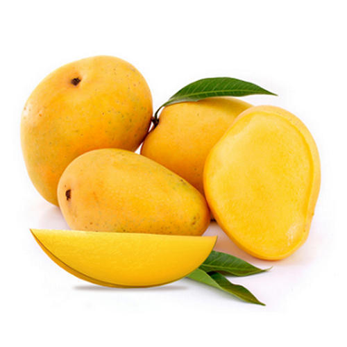 Organic fresh alphonso mango, Shelf Life : 5-10Days