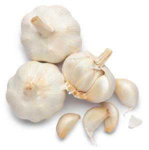 Organic fresh garlic, Packaging Type : Gunny Bags, Plastic Bags