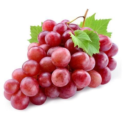 Organic Fresh Red Grapes, Grade : Food Grade