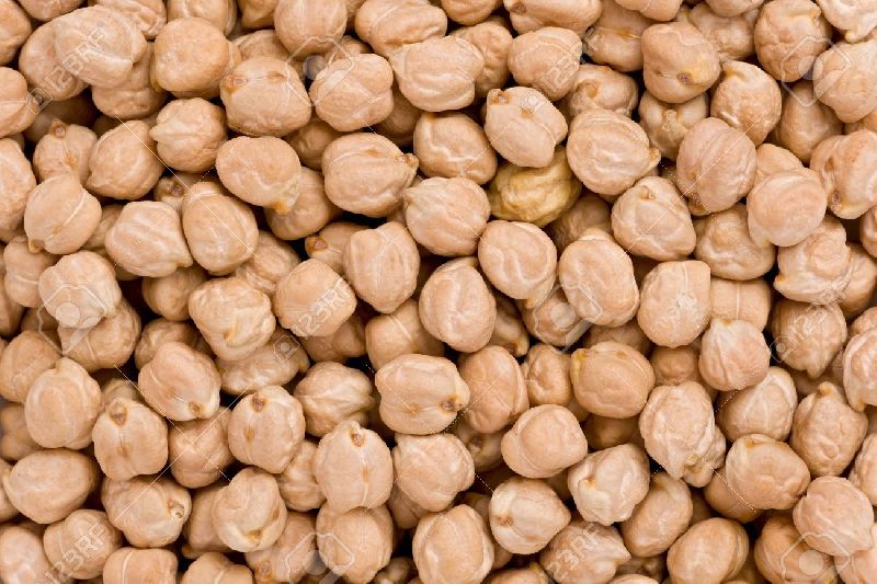 Organic Whole White Chickpeas, Style : Dried