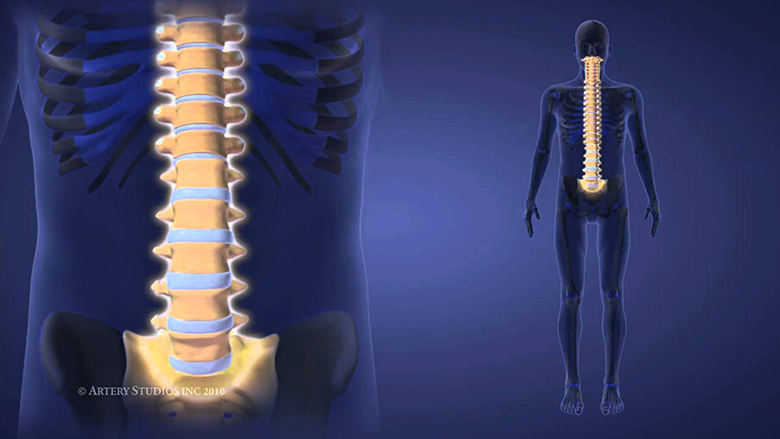 Spinal Cord Stem Cell Treatment Services