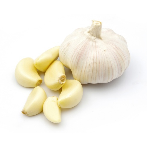 Organic fresh garlic, for Cooking, Packaging Type : Plastic Bags
