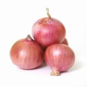 fresh onion