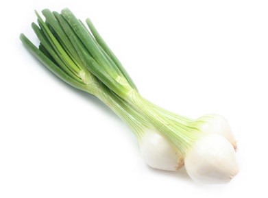 Fresh Spring Onion