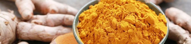 turmeric powder