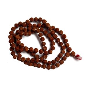 Rudraksha Jaap Mala, Size : Standard, Variety : 1-5Mukhi at Best Price ...