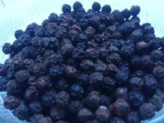 Organic Black Pepper Seeds, for Cooking, Certification : FSSAI Certified