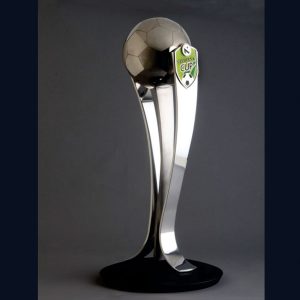 3D Printed Sports Metal Trophy