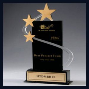 Best Project Team Acrylic Trophy, for College, School, Style : Antique