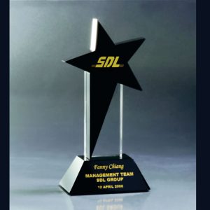 Black Star Shaped Acrylic Trophy
