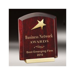 Business Network Award Wood Trophy
