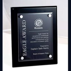 Acrylic Commemorative Eagle Plaque Trophy