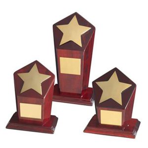 Gold Plated Star Wood Trophy