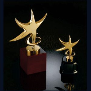 Gold &amp; Silver Star Metal Trophy
