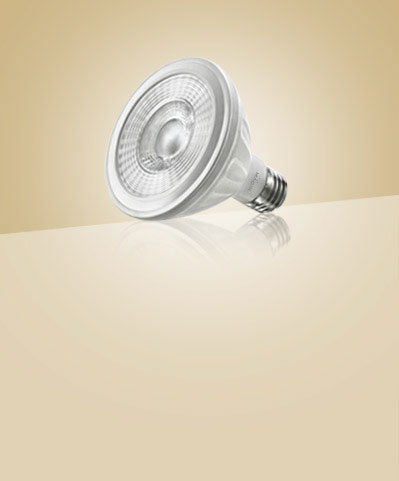 Ceramic LED Par Light, Voltage : 220V