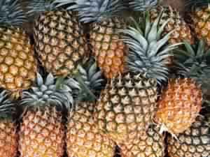 Fresh Pineapple, for Juice, Snacks, Style : Natural