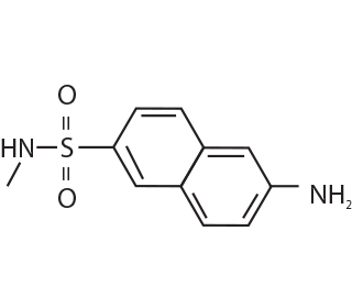 N-Methyl Sulfonamide