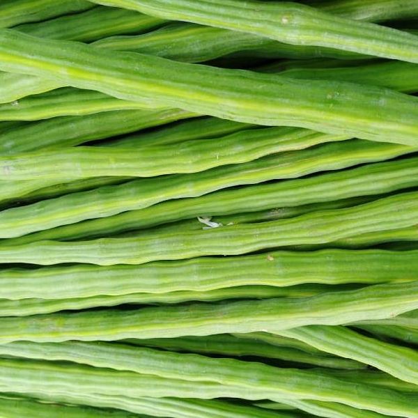 Natural Fresh Drumstick, for Cooking, Feature : Healthy