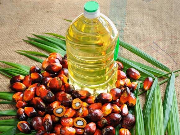 Processed Palm Oil
