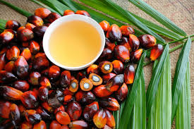 Pure Palm Oil