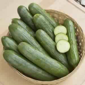 Fresh Cucumber,fresh cucumber, Color : Green