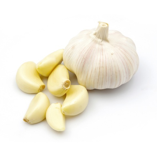 Organic Fresh Garlic, For Cooking, Snacks, Feature : Dairy Free