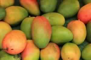 Fresh Mango