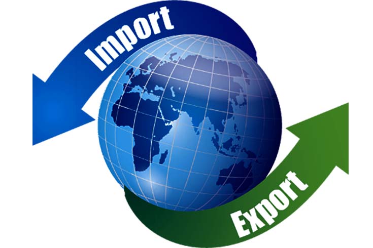 Import Export Business Consultancy Services