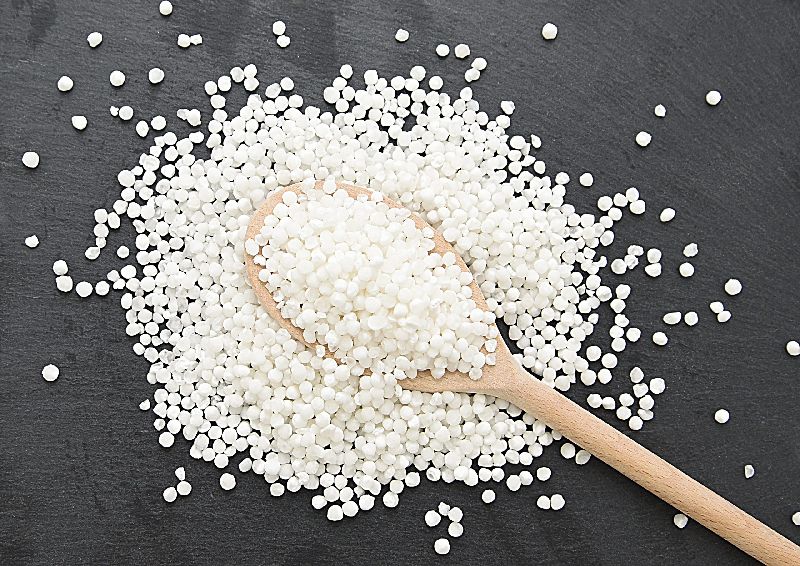 Organic Sago Seeds, Feature : High In Carbohydrate