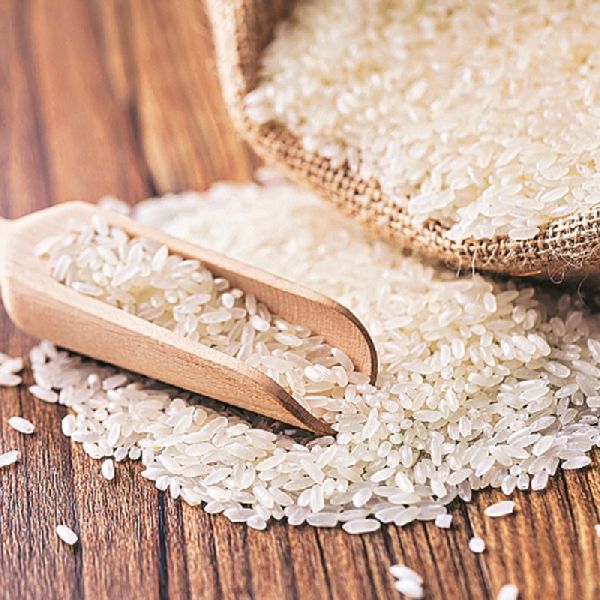 basmati rice exporting countries