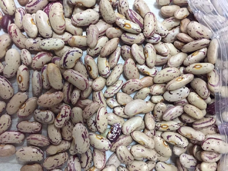 Organic Light Speckled Kidney Beans, Feature : Full Of Proteins