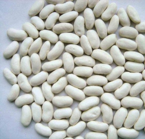 Organic White Kidney Beans, Packaging Type : Plastic Bag, Plastic Packet