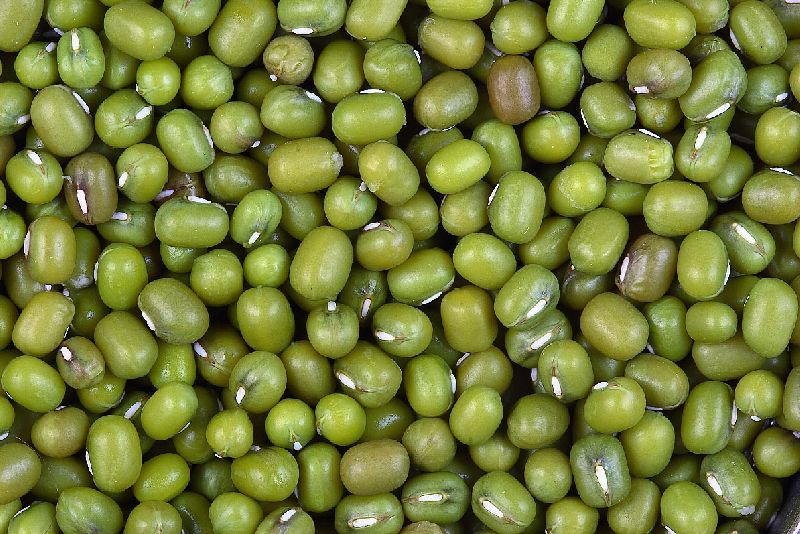 Organic Whole Green Mung Beans, Packaging Type : Jute Bag