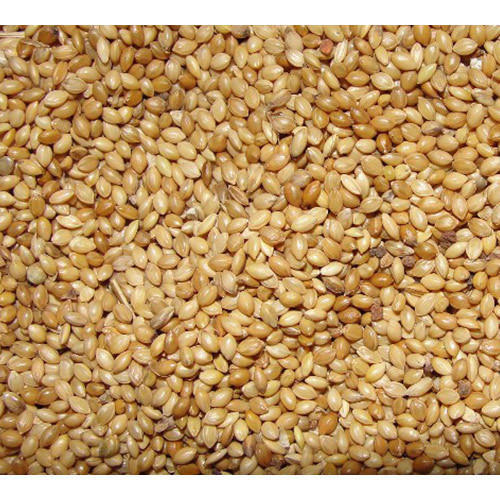 Common Millet Animal Feed, Color : Brown