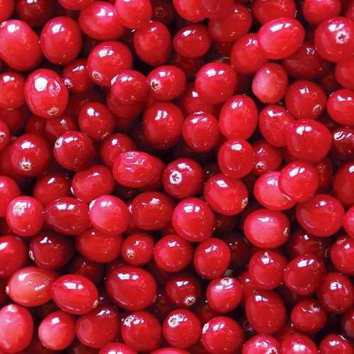 Fresh Cranberry Manufacturer In Sonipat Haryana India By