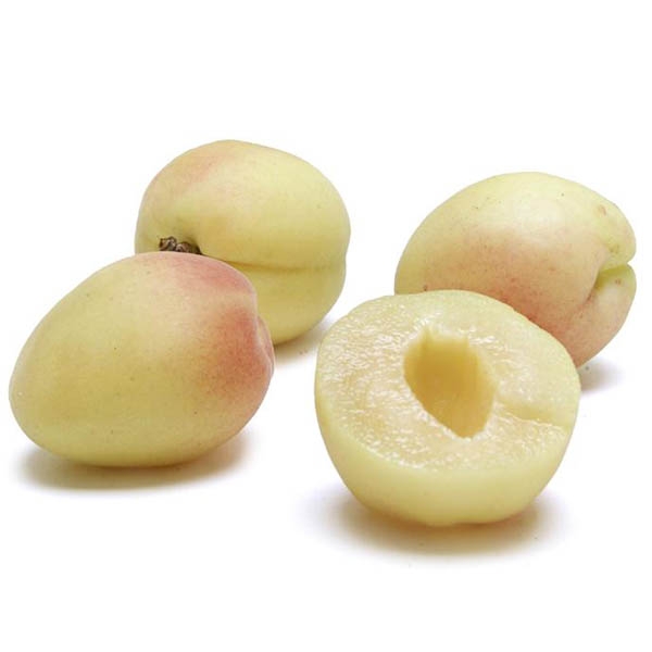 White Apricot, Packaging Size : 20kg