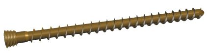 Stainless Steel LC Can Screw, Size : Standard